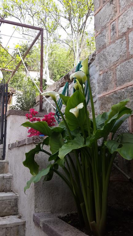 Apartment Stern Πέραστ Εξωτερικό φωτογραφία